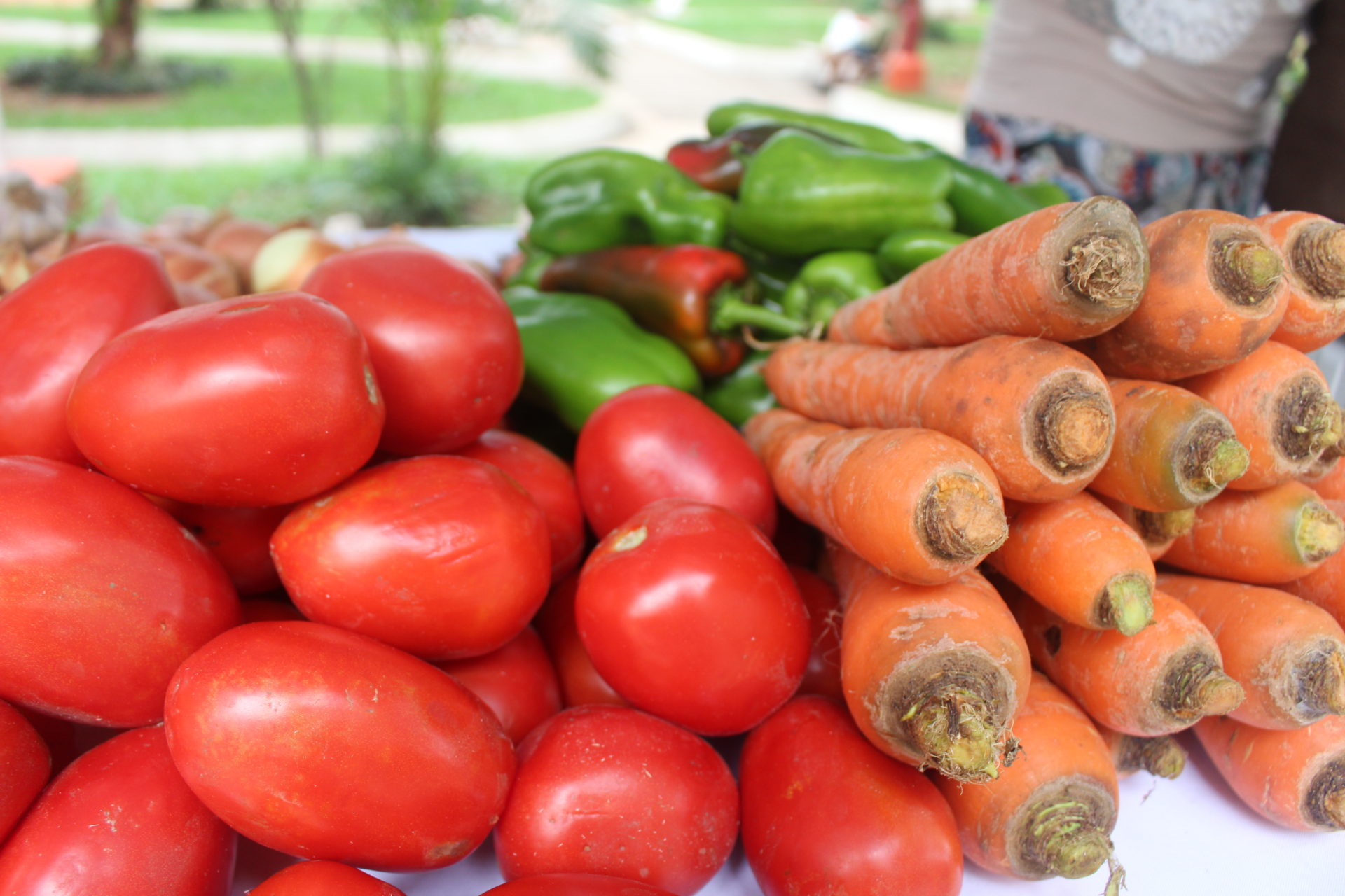 ¿Cuándo perdemos alimentos?